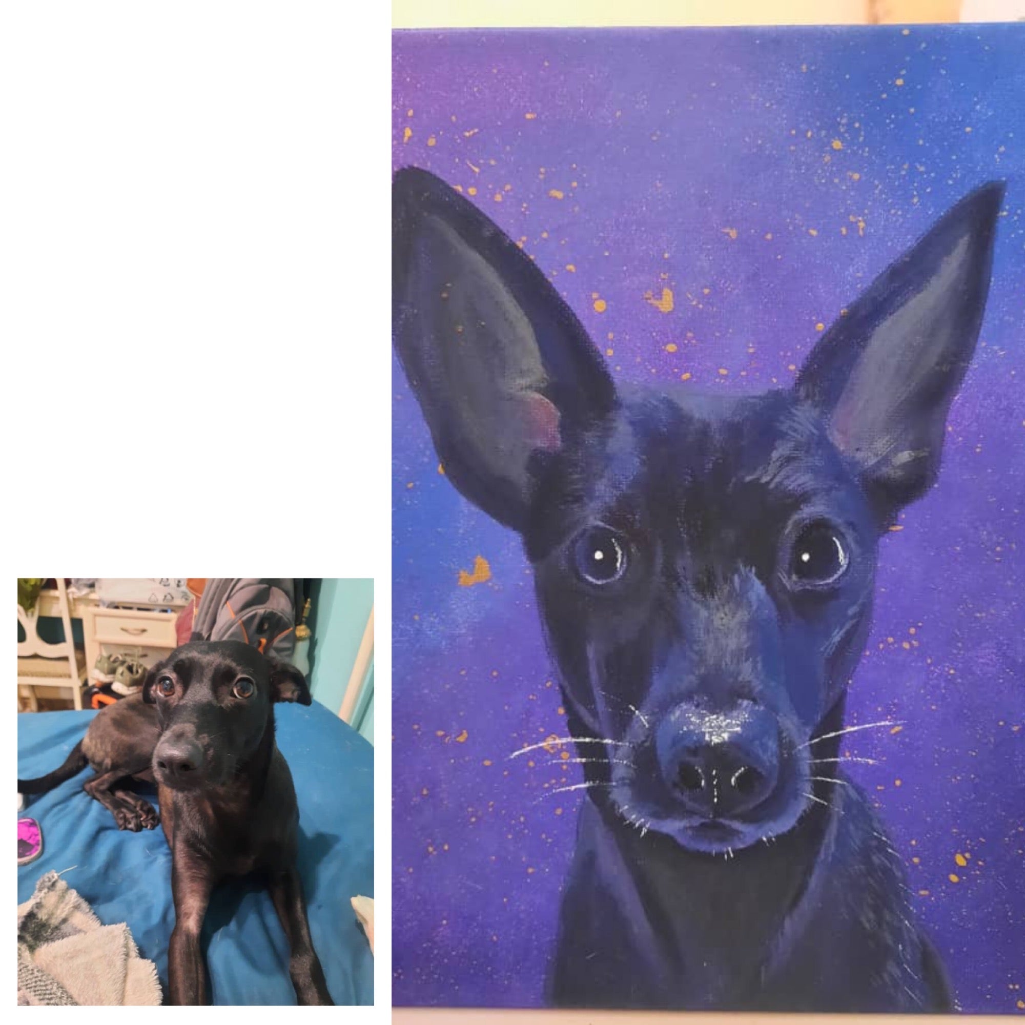Custom Pet Portrait – Acrylic or Oil